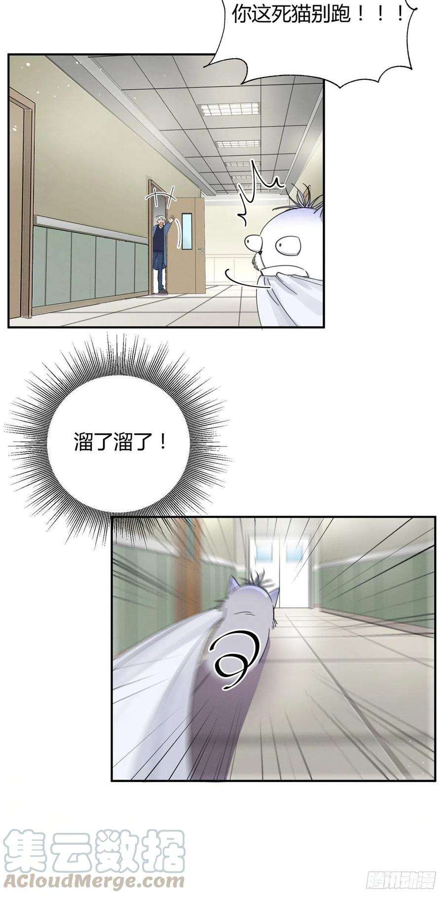 今天也要努力当只猫9话 我是裴臻