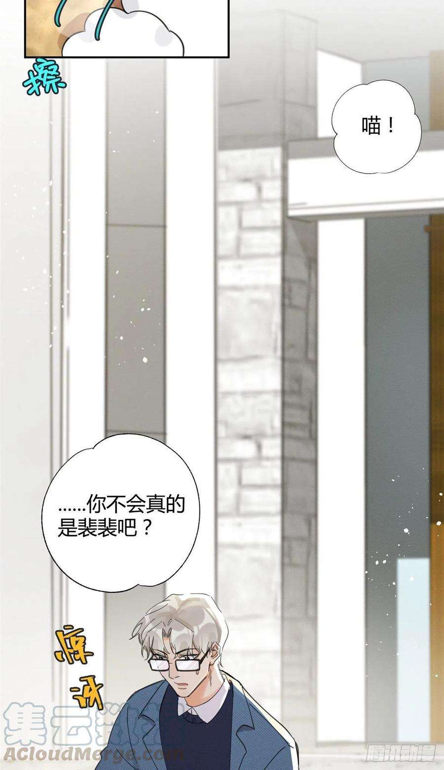 今天也要努力当只猫9话 我是裴臻