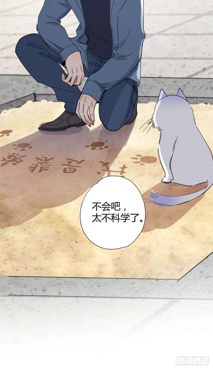 今天也要努力当只猫9话 我是裴臻