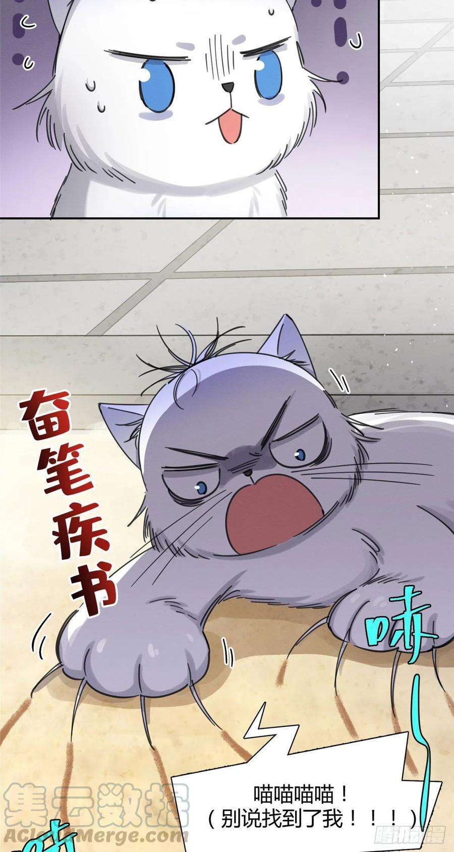 今天也要努力当只猫9话 我是裴臻