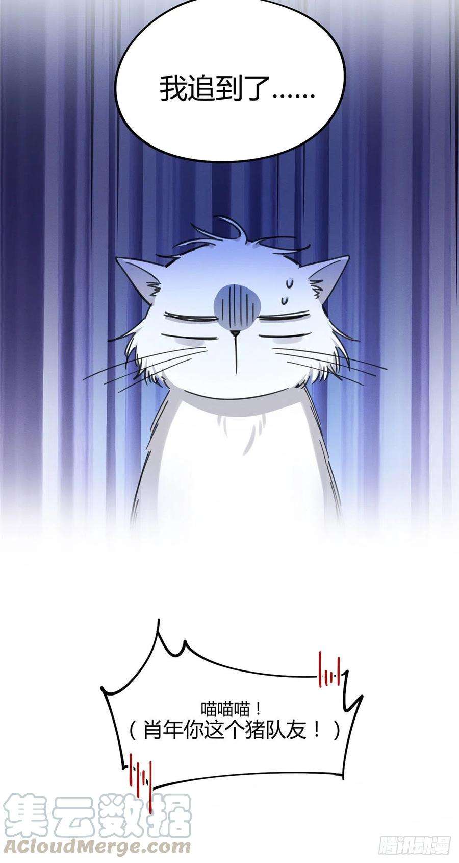 今天也要努力当只猫9话 我是裴臻