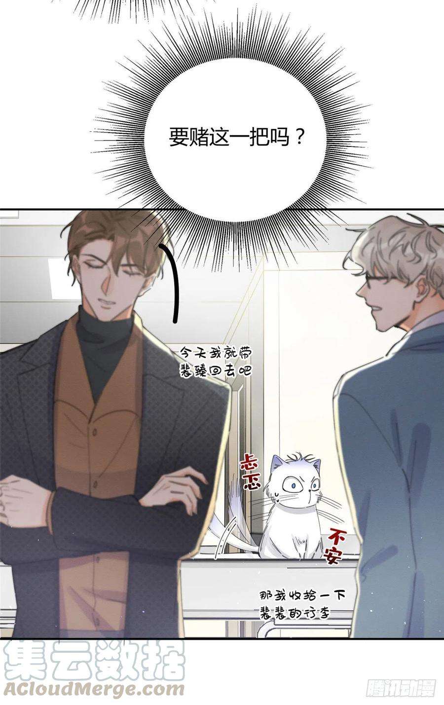 今天也要努力当只猫9话 我是裴臻