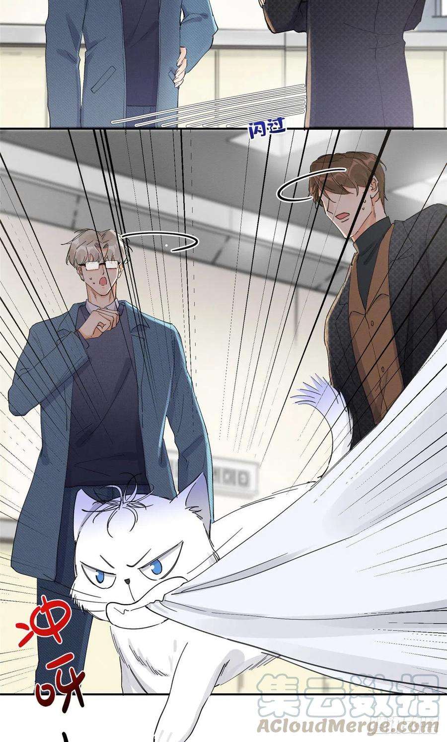 今天也要努力当只猫9话 我是裴臻