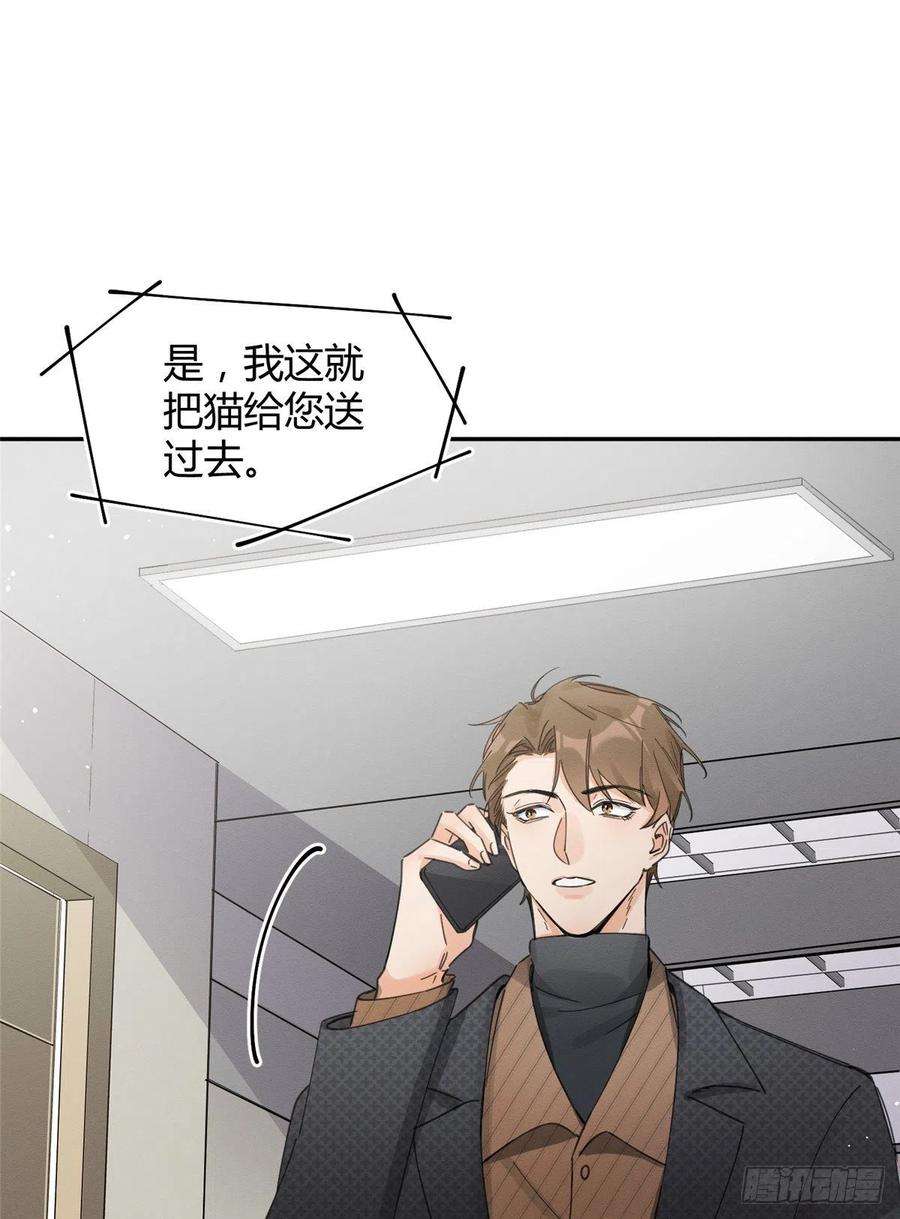 今天也要努力当只猫10话 傅司晨来了