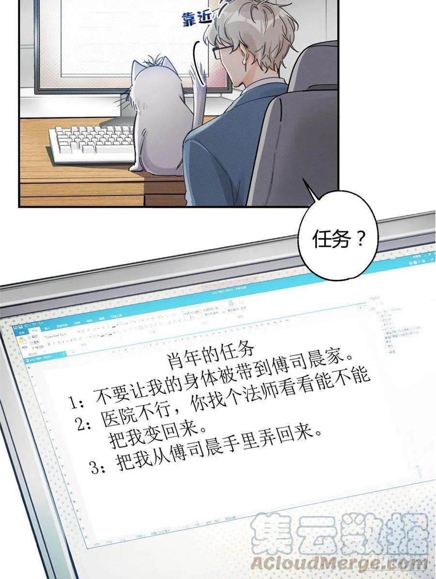 今天也要努力当只猫10话 傅司晨来了