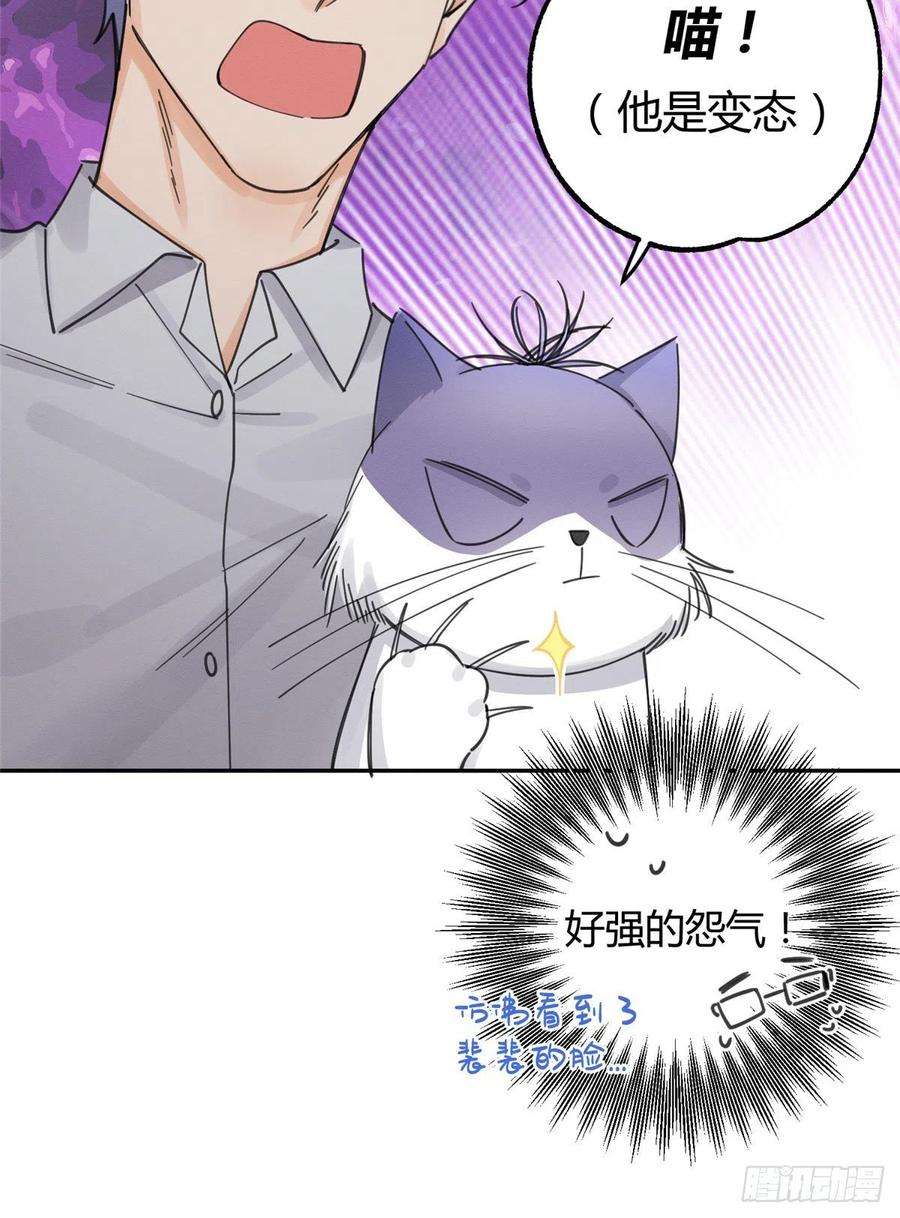 今天也要努力当只猫10话 傅司晨来了