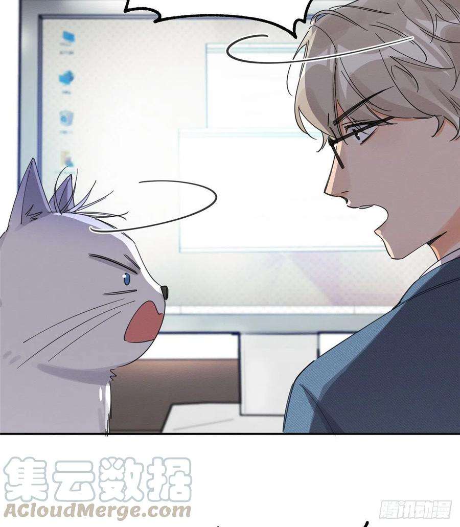 今天也要努力当只猫10话 傅司晨来了