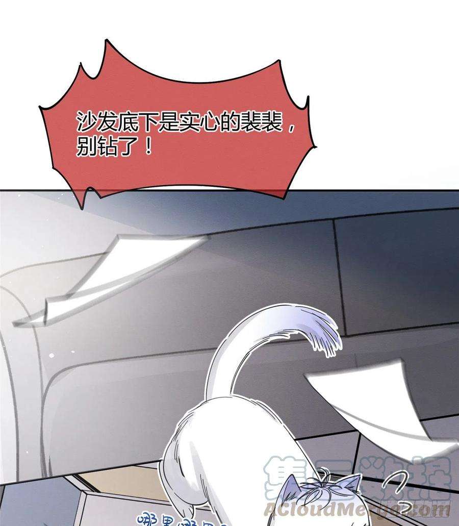 今天也要努力当只猫10话 傅司晨来了