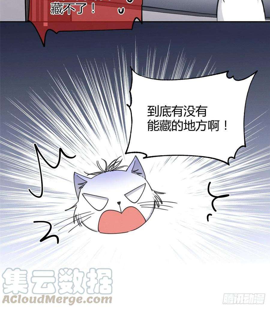 今天也要努力当只猫10话 傅司晨来了