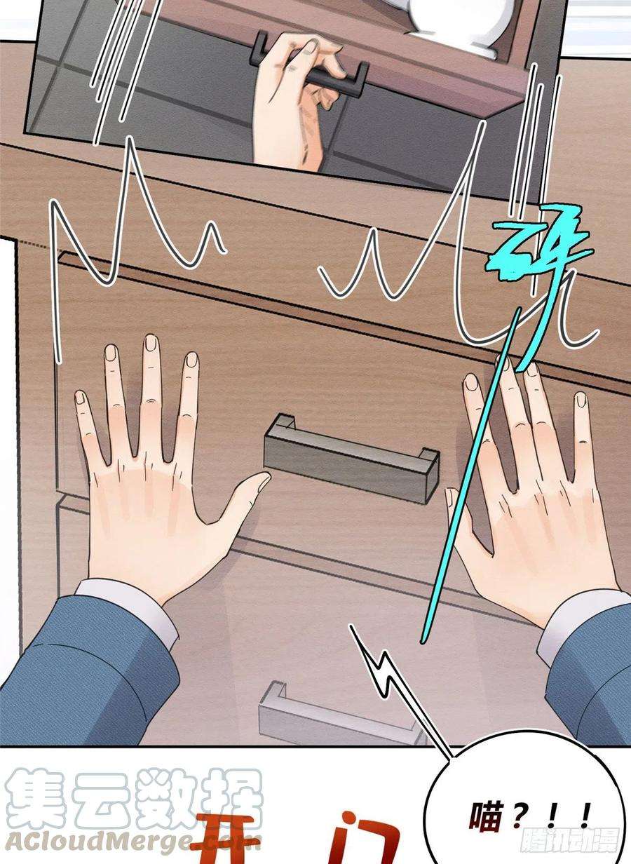 今天也要努力当只猫10话 傅司晨来了