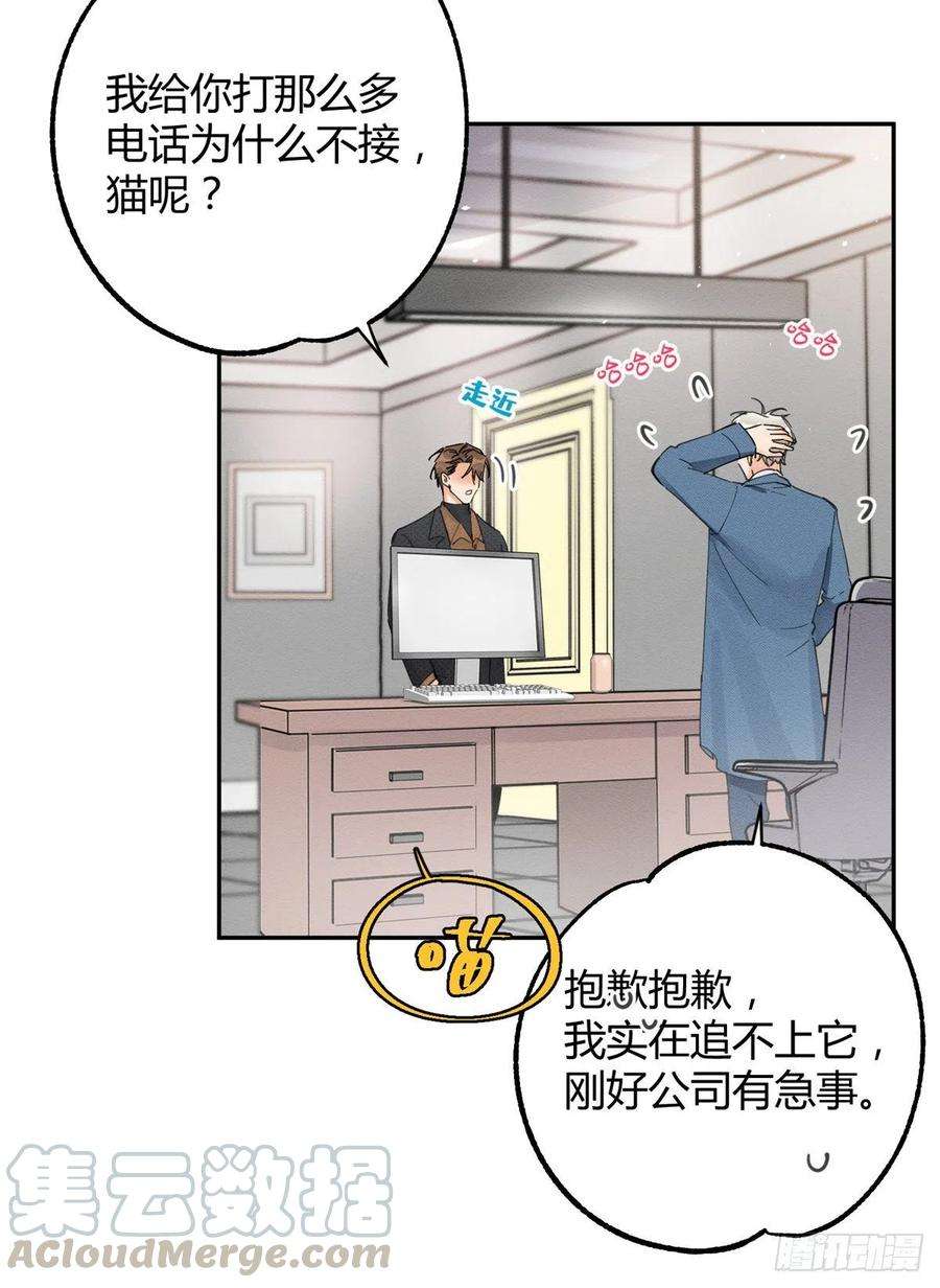 今天也要努力当只猫10话 傅司晨来了