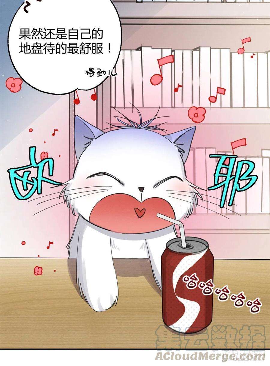 今天也要努力当只猫10话 傅司晨来了