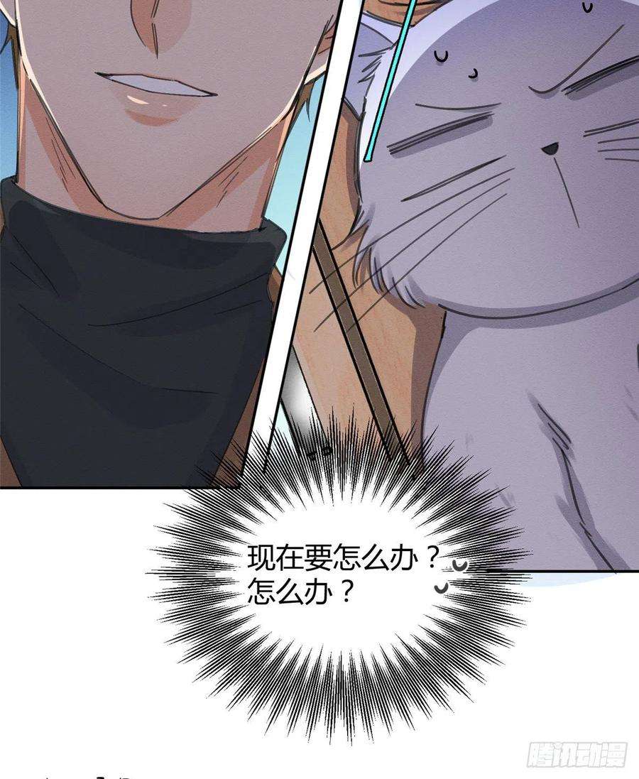 今天也要努力当只猫11话 不要亲！