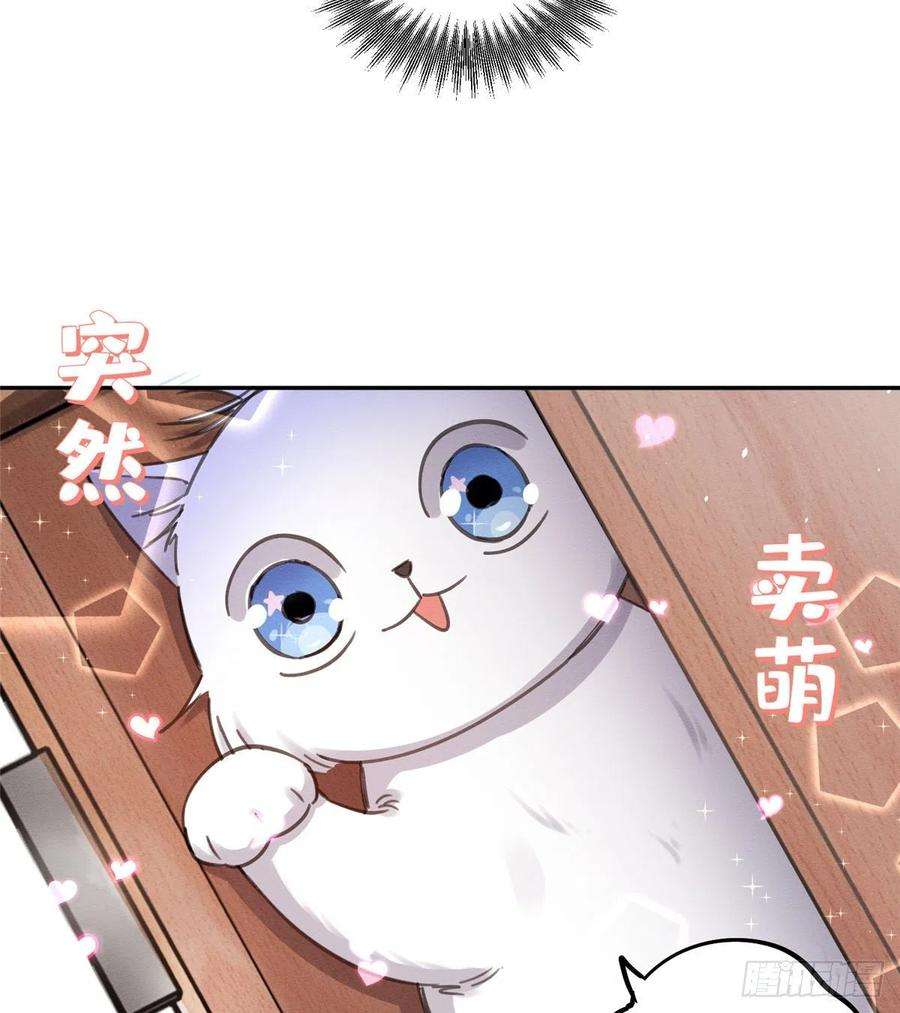 今天也要努力当只猫11话 不要亲！