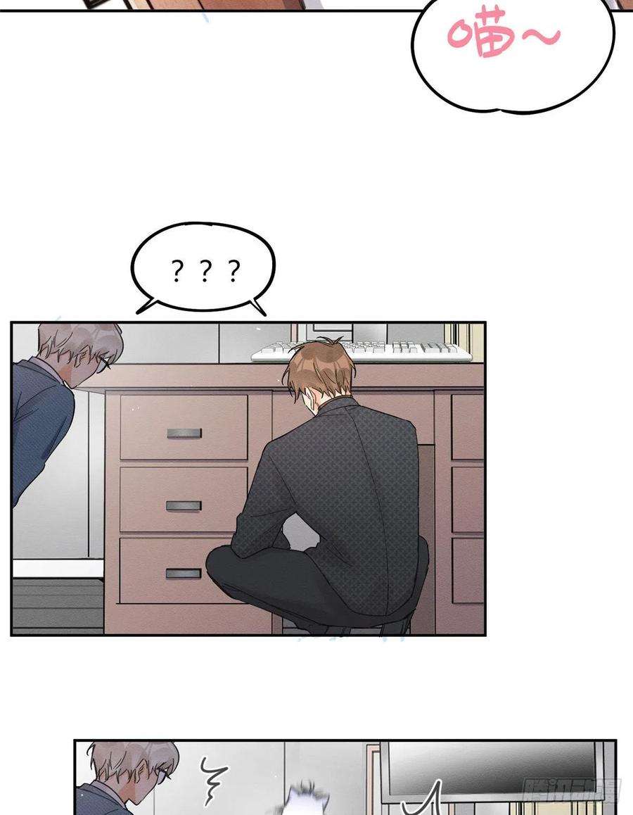 今天也要努力当只猫11话 不要亲！