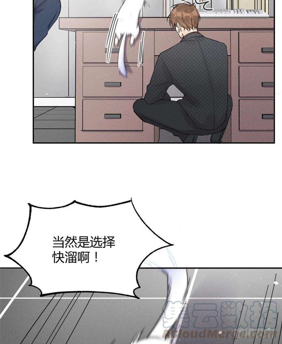 今天也要努力当只猫11话 不要亲！