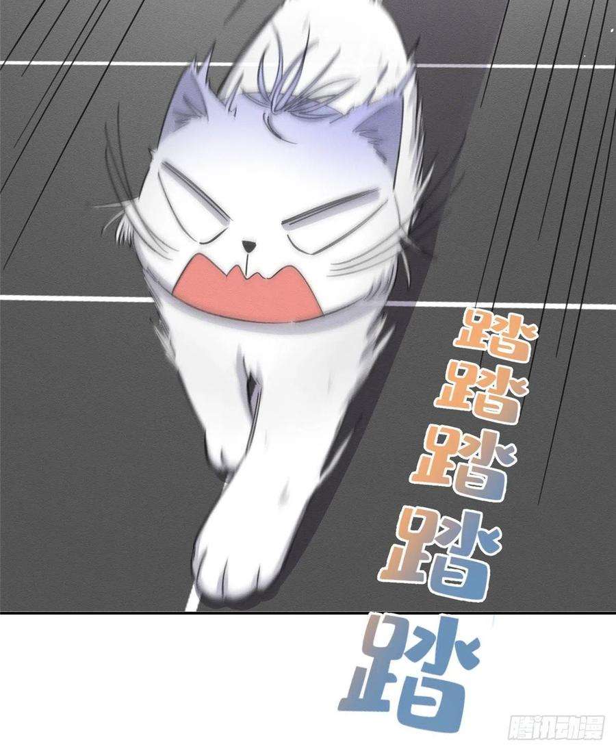 今天也要努力当只猫11话 不要亲！