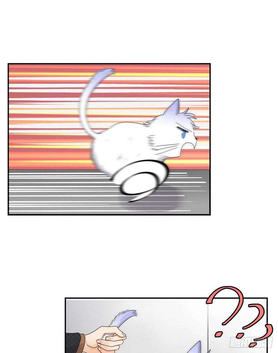 今天也要努力当只猫11话 不要亲！