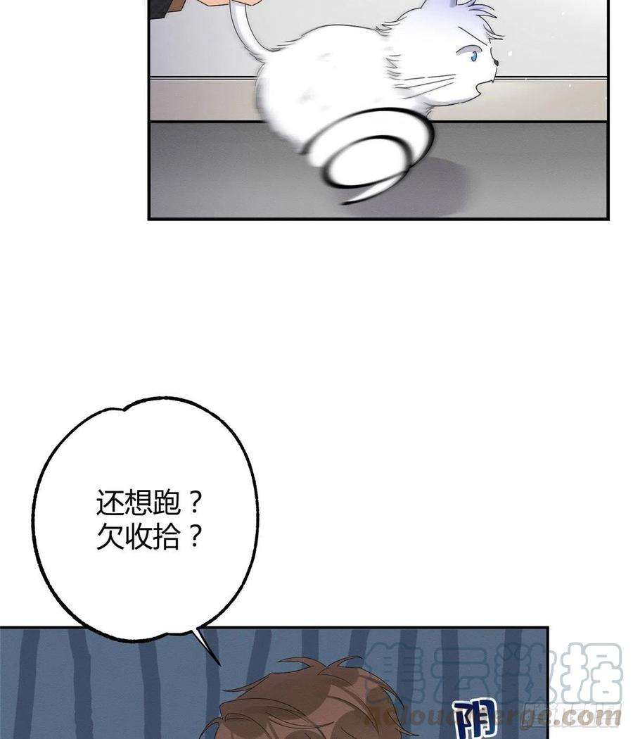 今天也要努力当只猫11话 不要亲！