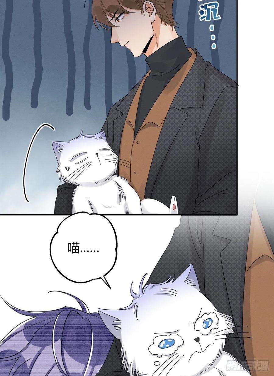 今天也要努力当只猫11话 不要亲！