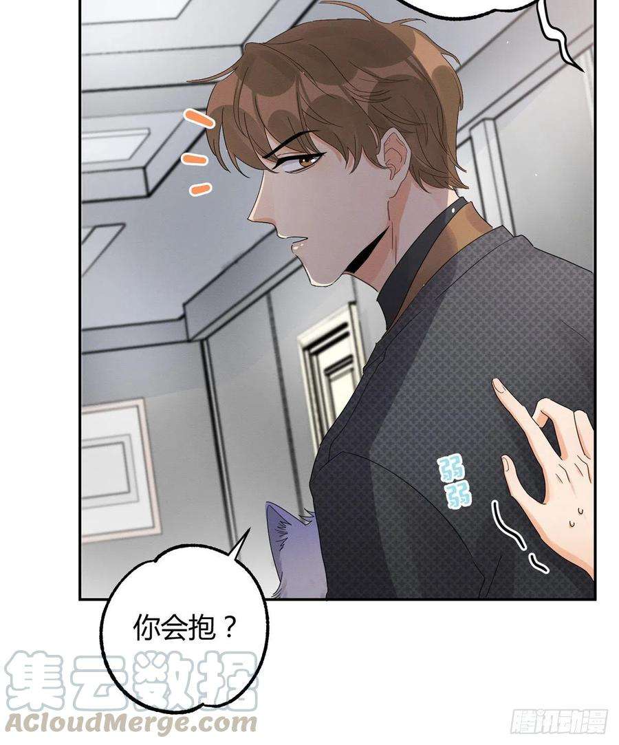 今天也要努力当只猫11话 不要亲！