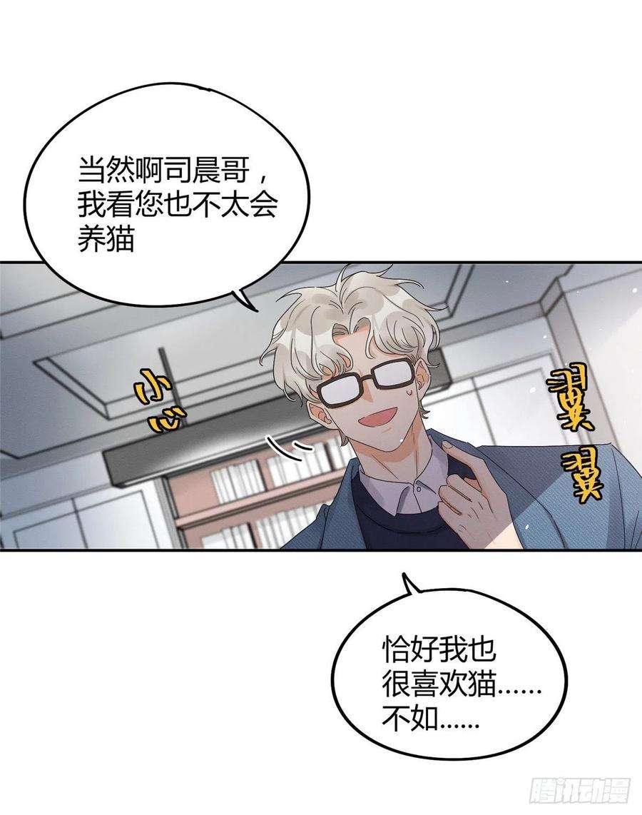 今天也要努力当只猫11话 不要亲！