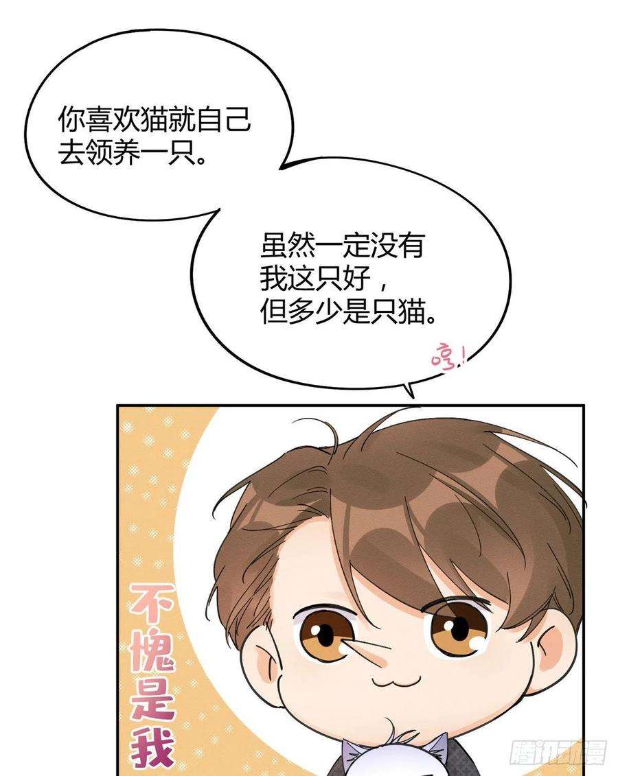 今天也要努力当只猫11话 不要亲！