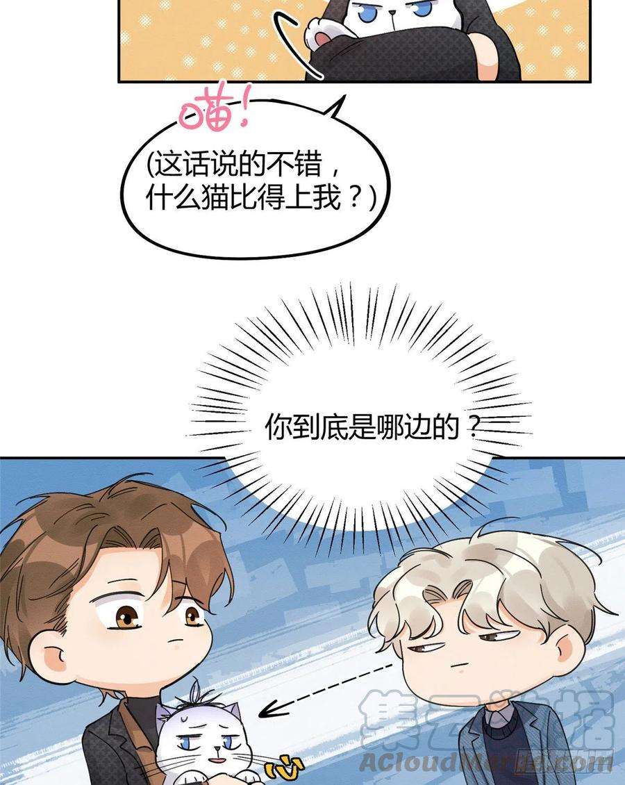 今天也要努力当只猫11话 不要亲！