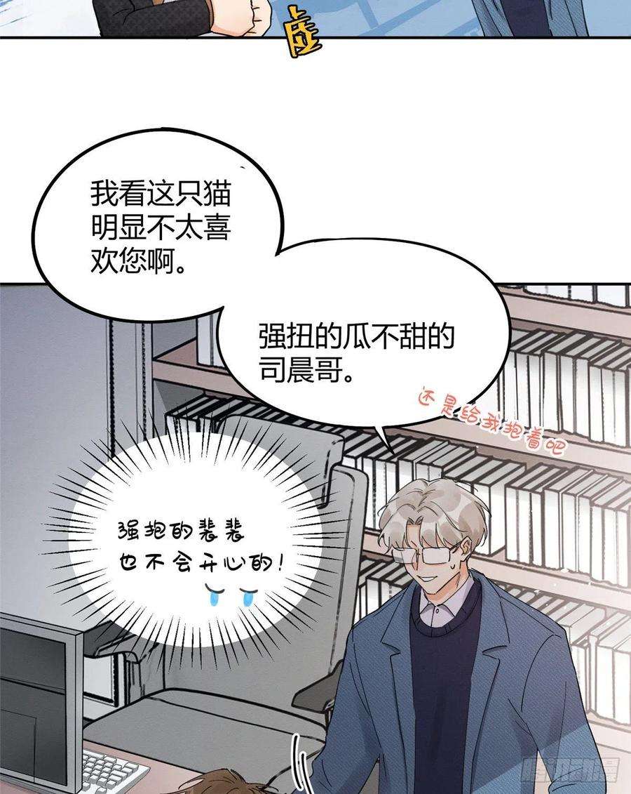 今天也要努力当只猫11话 不要亲！