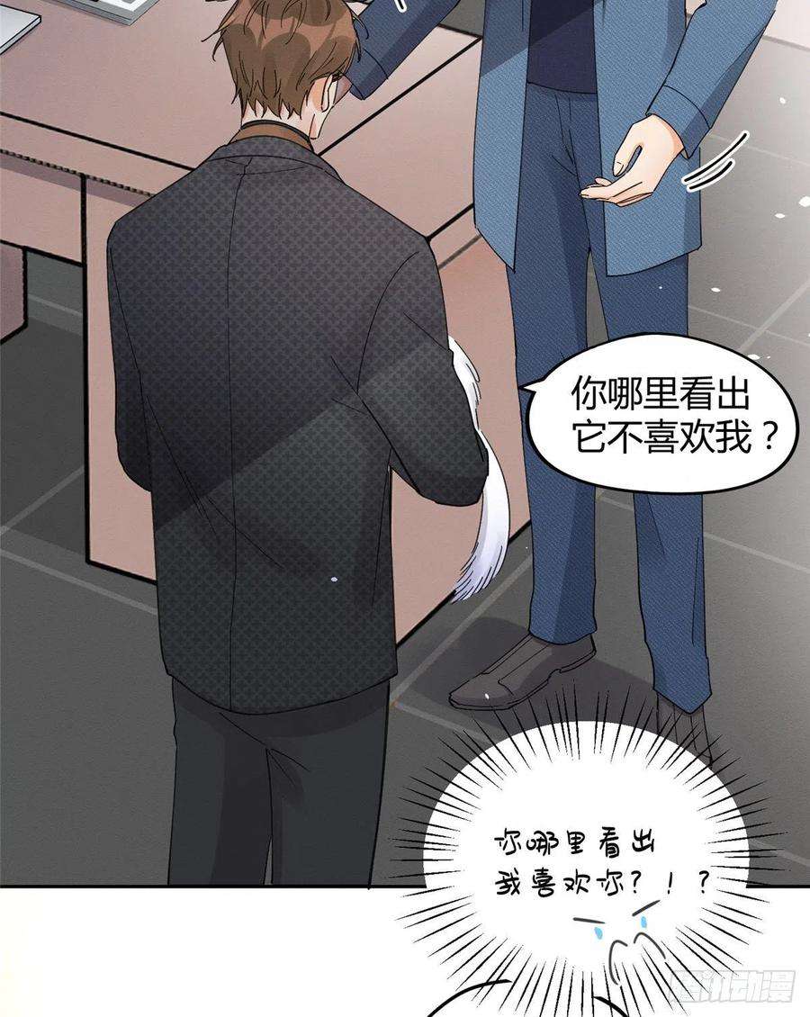 今天也要努力当只猫11话 不要亲！