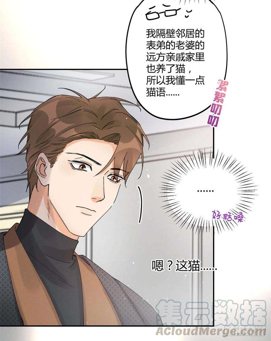 今天也要努力当只猫11话 不要亲！