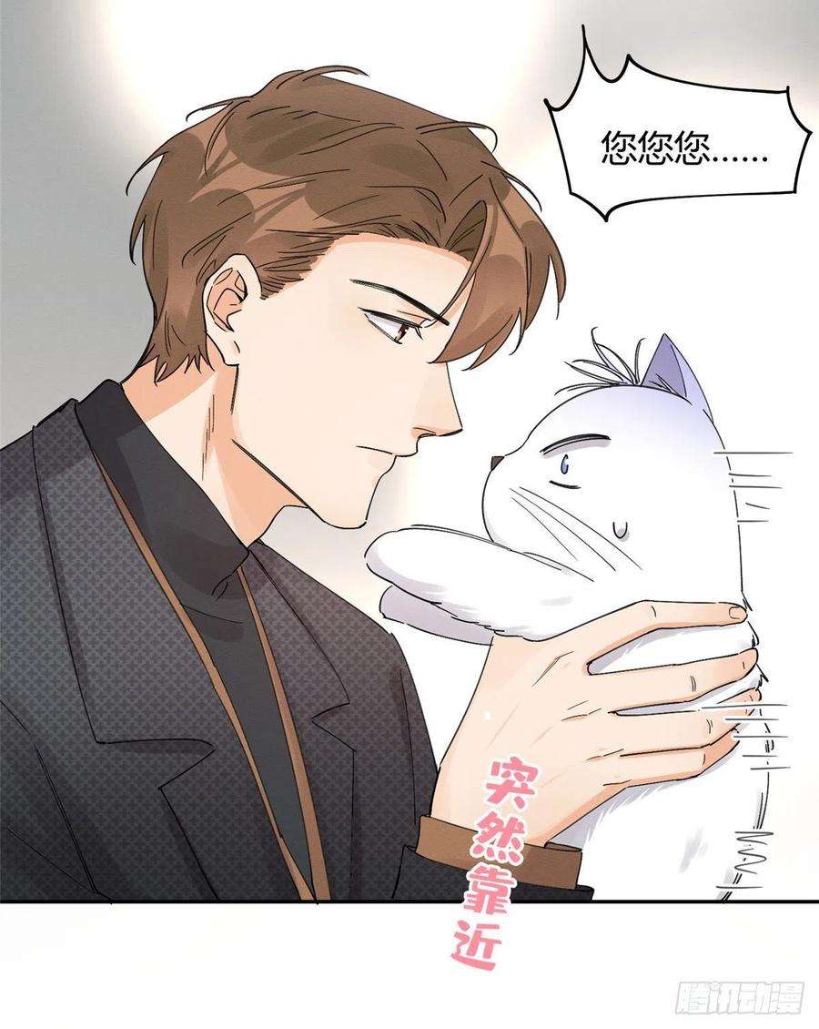 今天也要努力当只猫11话 不要亲！