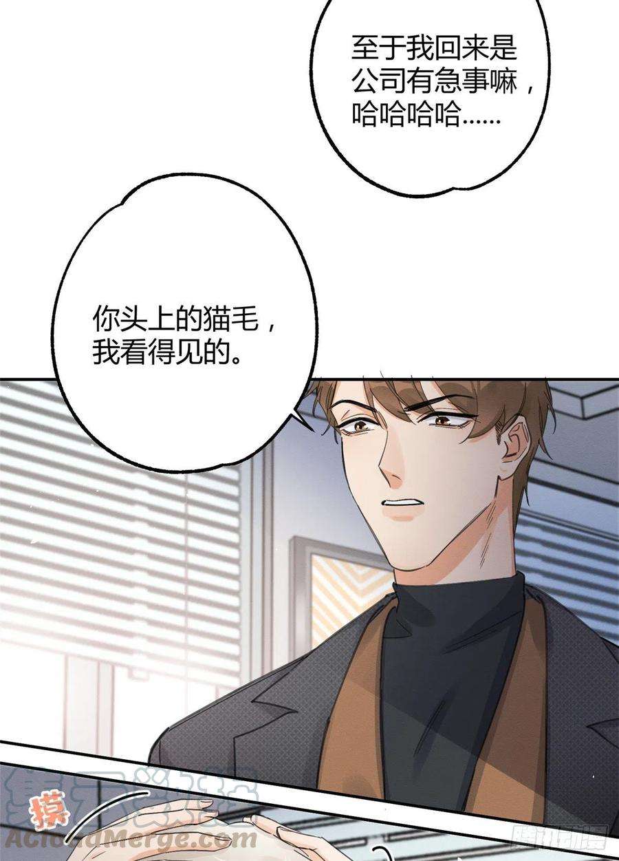 今天也要努力当只猫11话 不要亲！