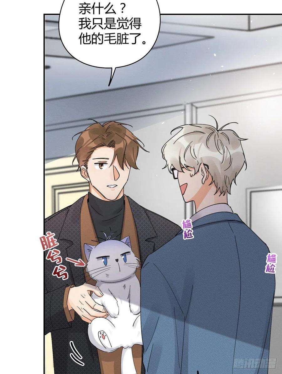 今天也要努力当只猫11话 不要亲！