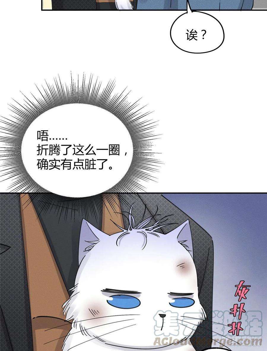 今天也要努力当只猫11话 不要亲！