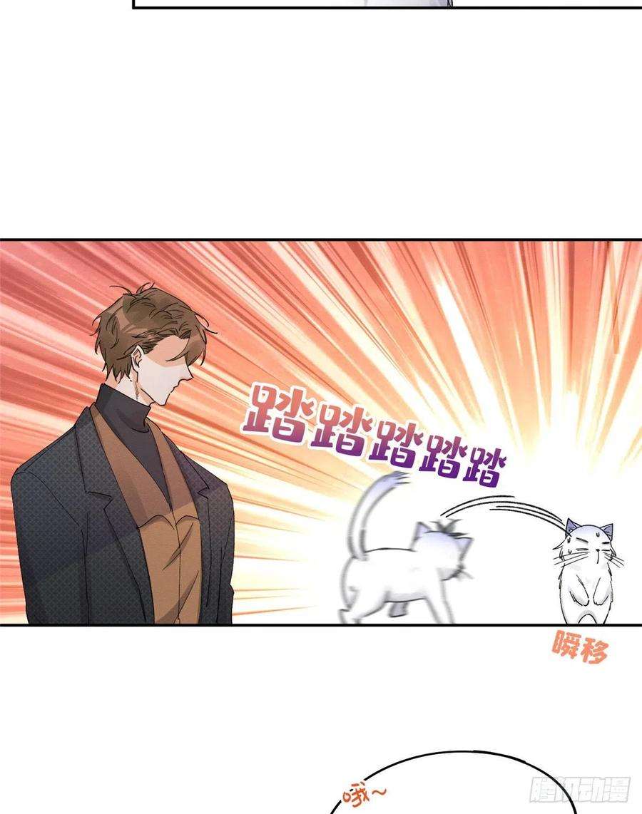 今天也要努力当只猫11话 不要亲！