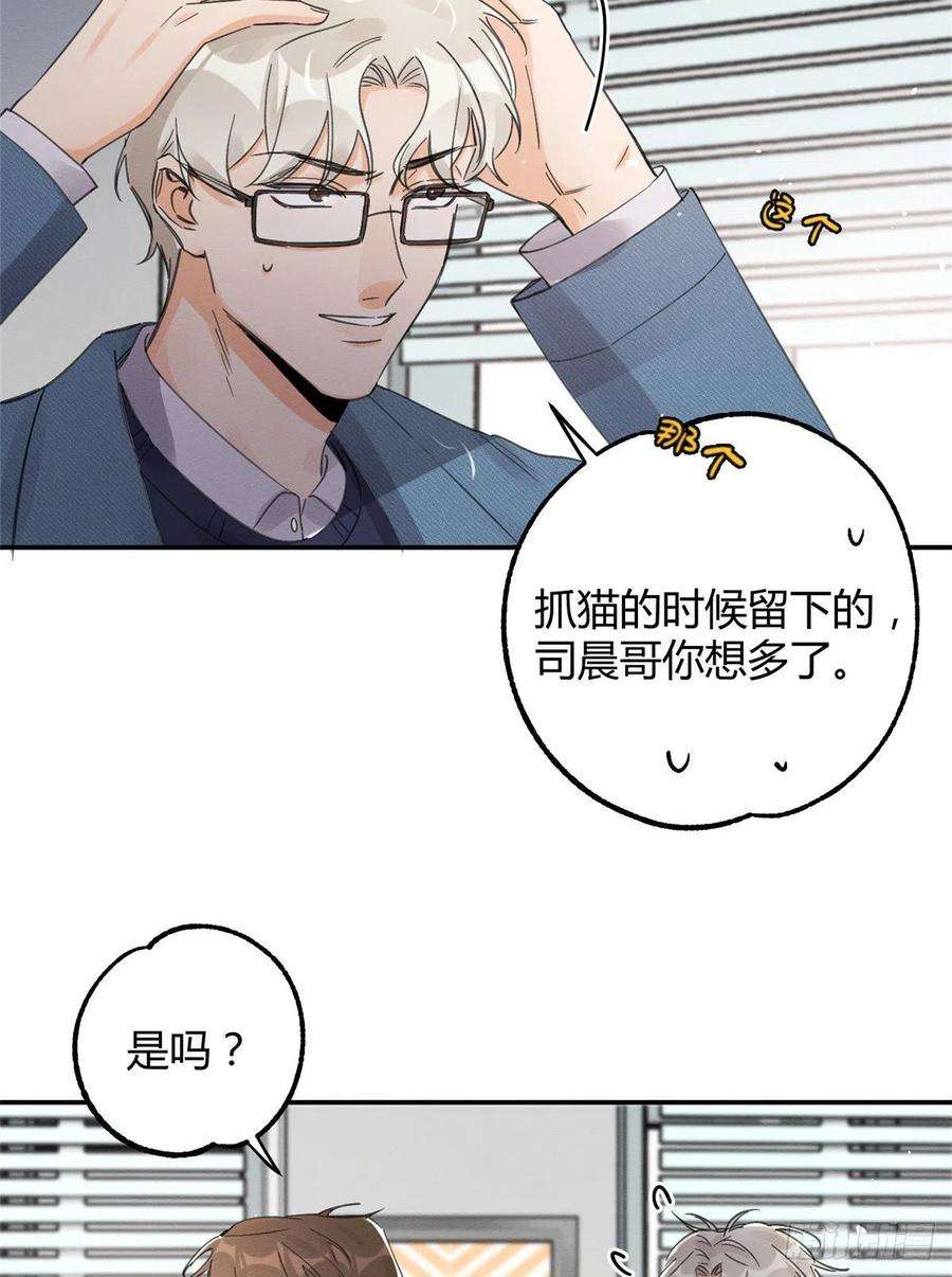 今天也要努力当只猫11话 不要亲！