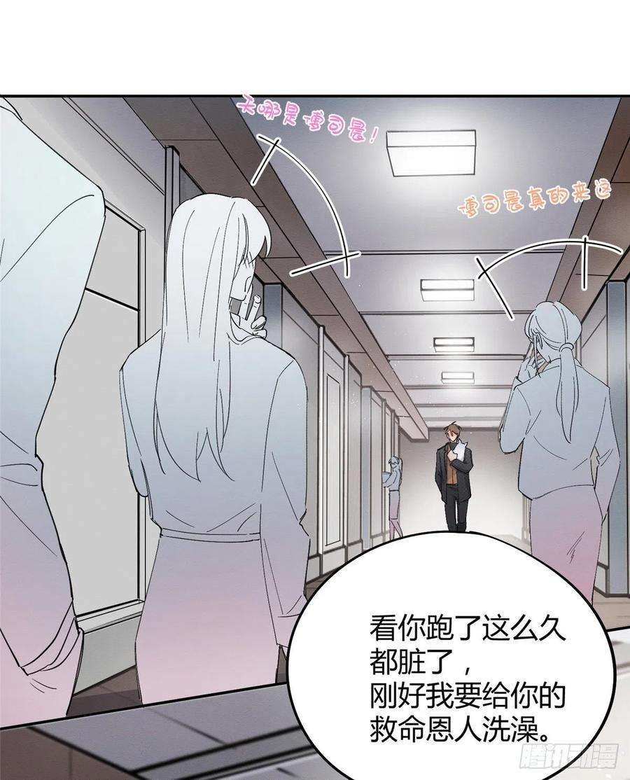 今天也要努力当只猫11话 不要亲！