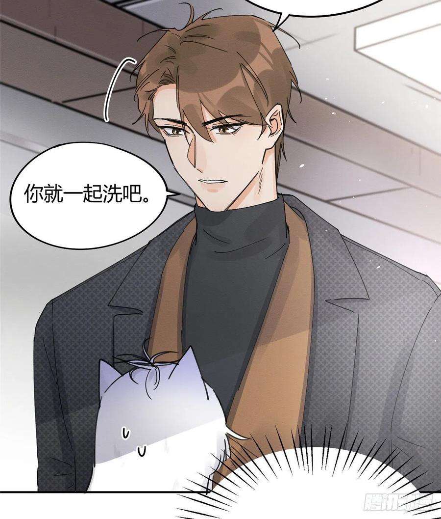 今天也要努力当只猫11话 不要亲！