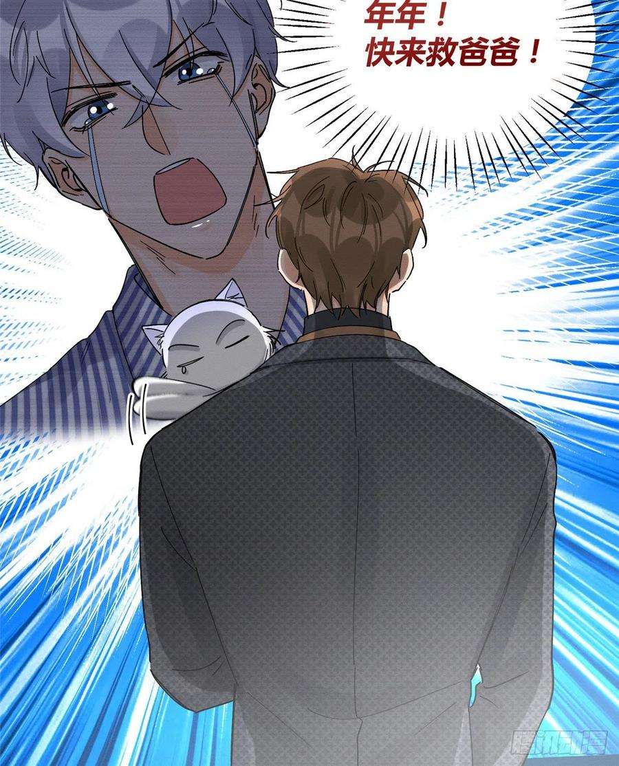 今天也要努力当只猫11话 不要亲！