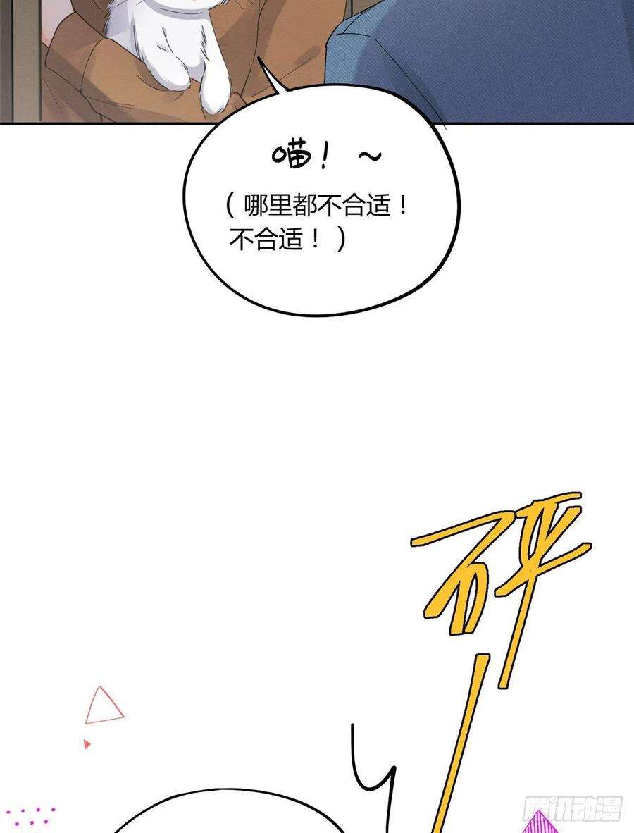 今天也要努力当只猫12话 洗澡？！