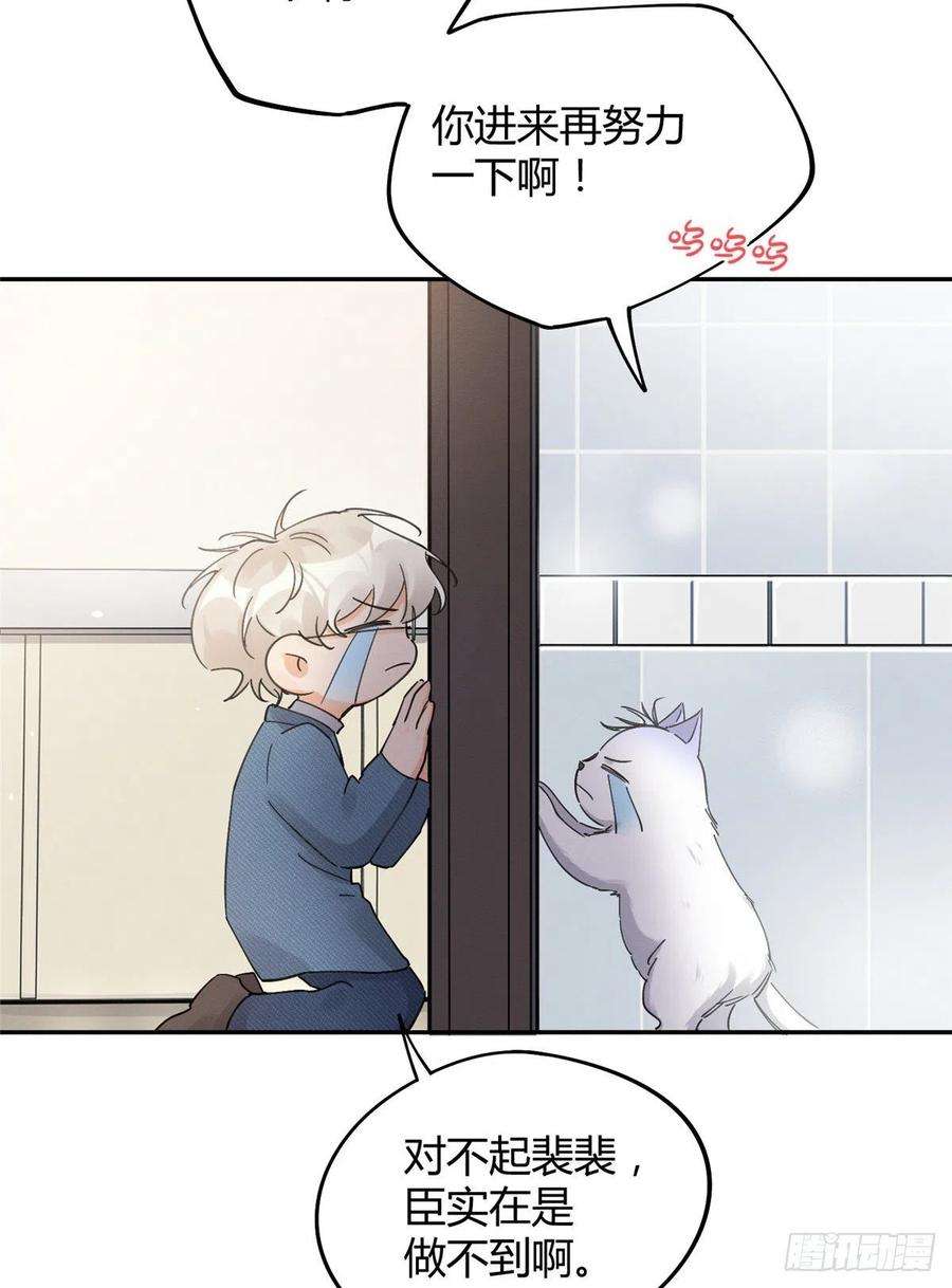 今天也要努力当只猫12话 洗澡？！