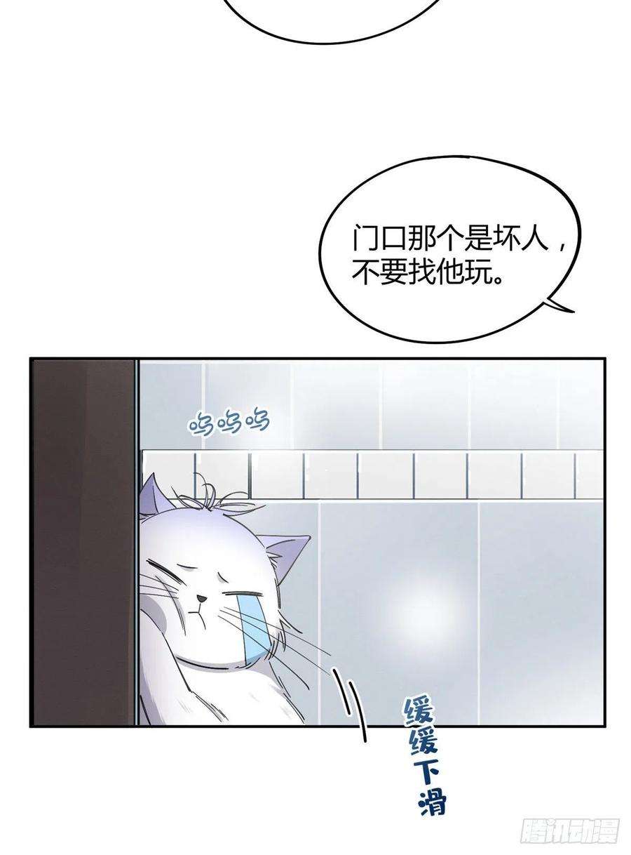 今天也要努力当只猫12话 洗澡？！