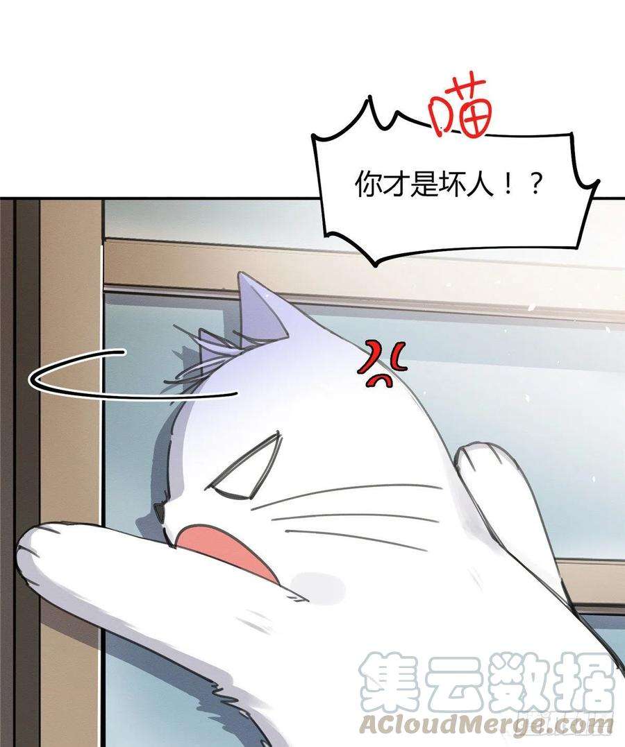 今天也要努力当只猫12话 洗澡？！