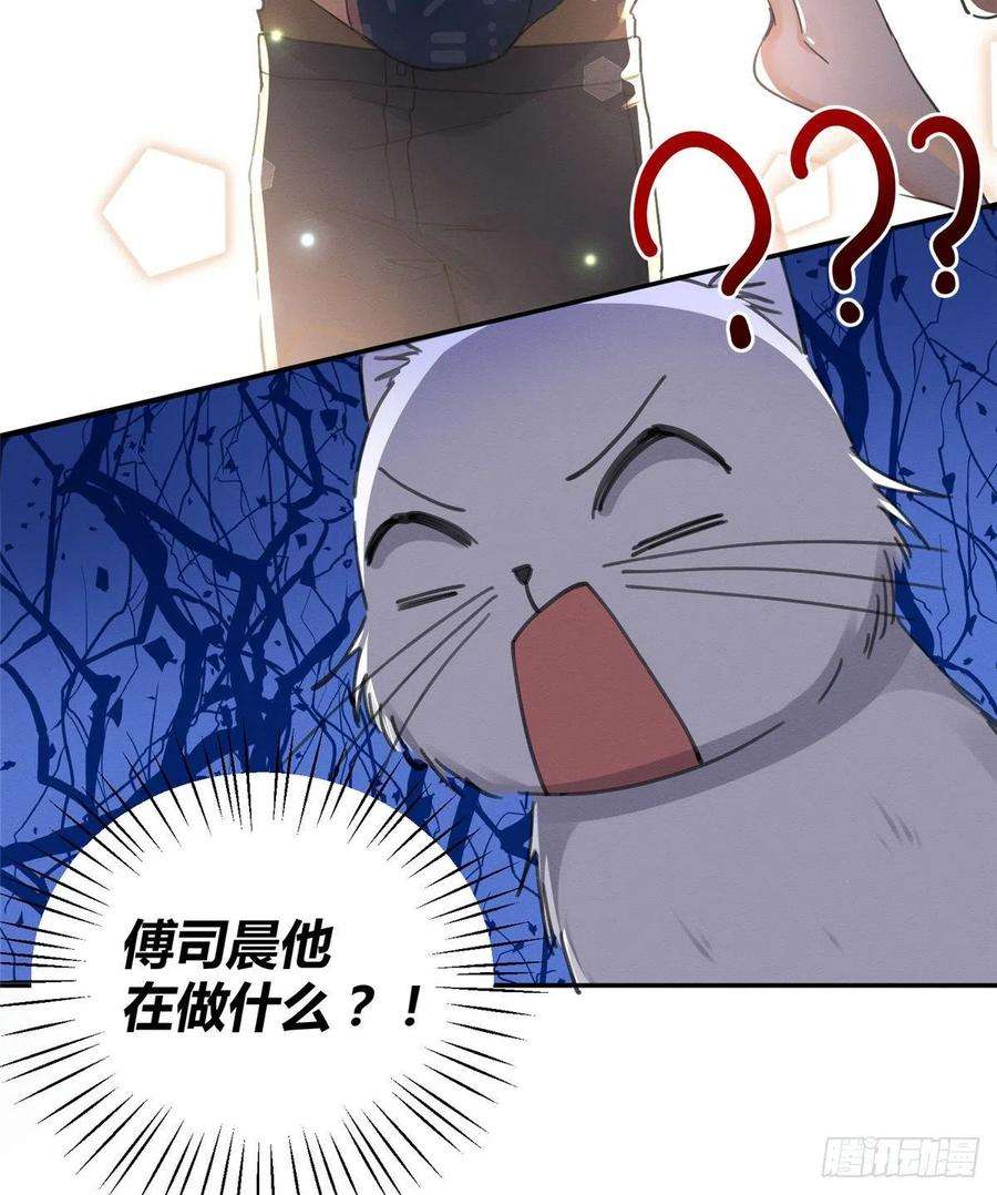 今天也要努力当只猫12话 洗澡？！