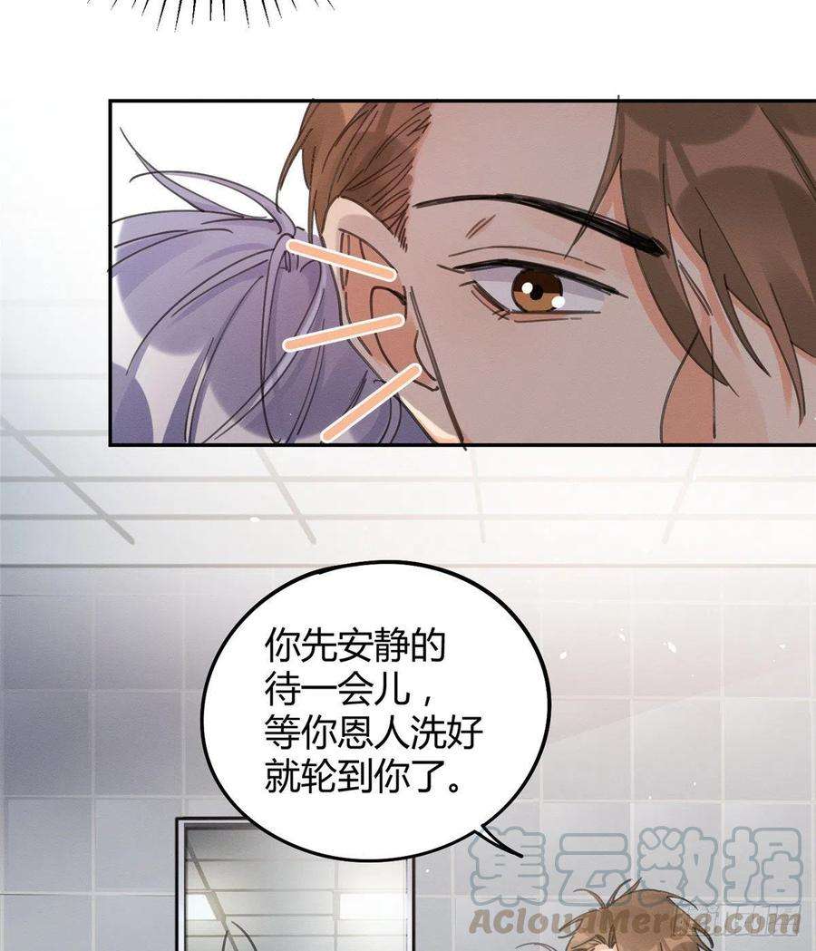 今天也要努力当只猫12话 洗澡？！