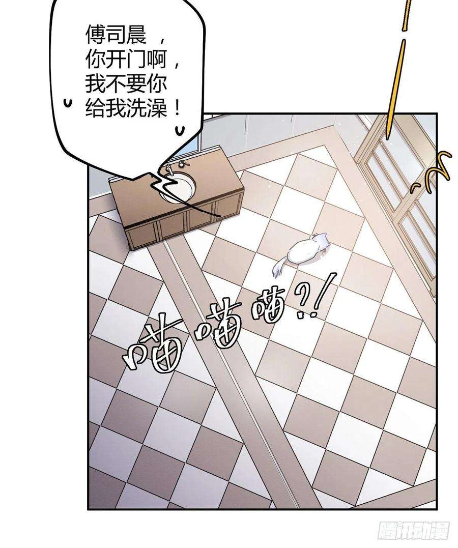 今天也要努力当只猫12话 洗澡？！