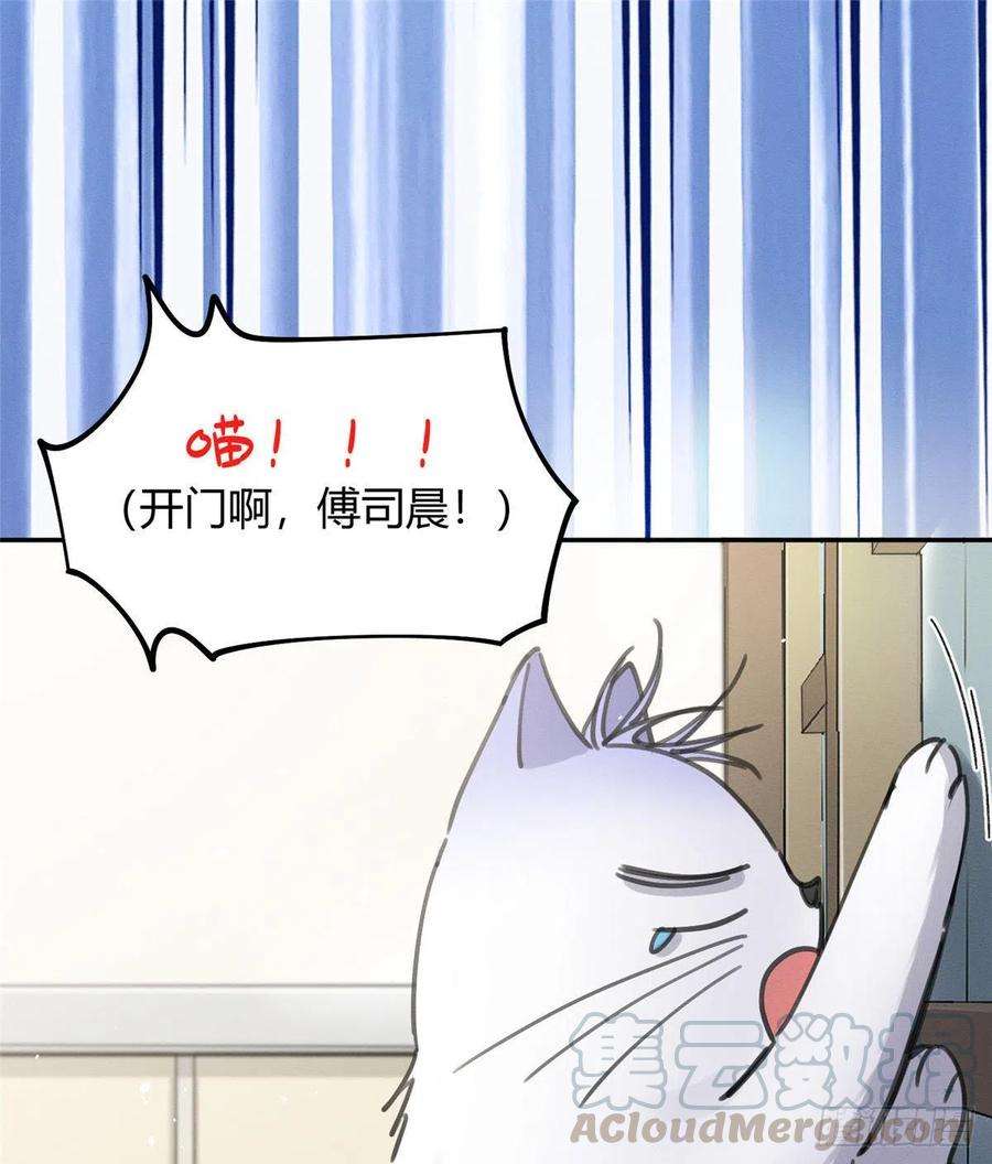 今天也要努力当只猫12话 洗澡？！