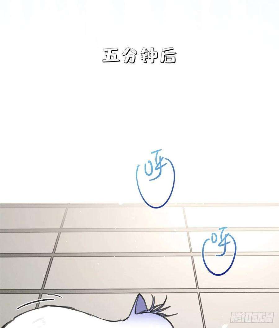 今天也要努力当只猫12话 洗澡？！