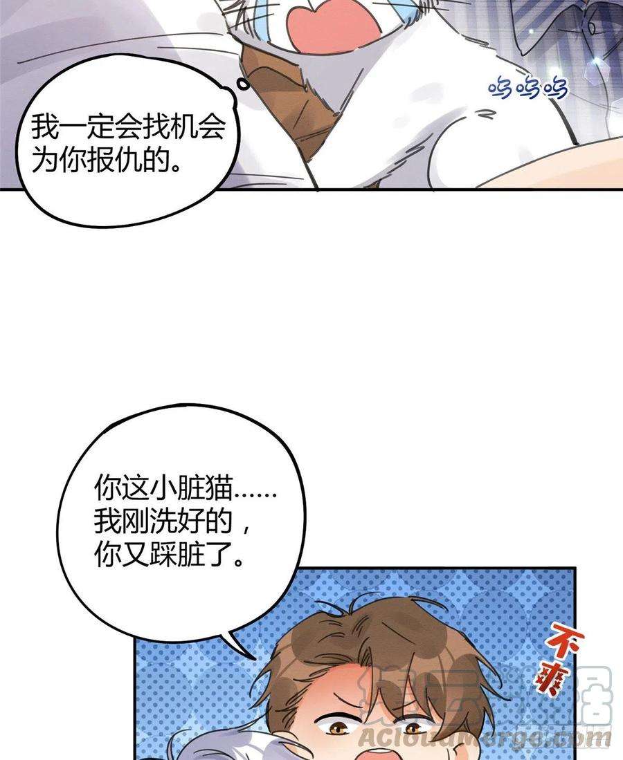 今天也要努力当只猫12话 洗澡？！